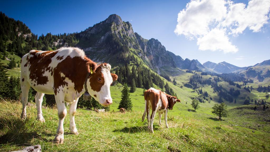 Hostellerie Am Schwarzsee Bad-Schwarzsee Eksteriør bilde