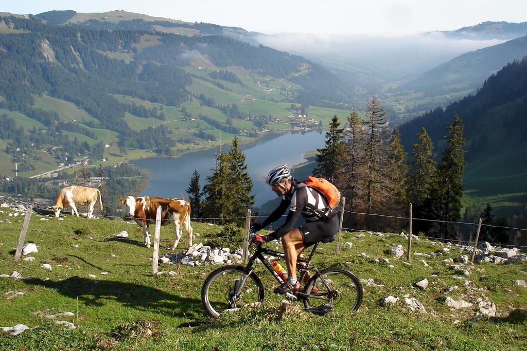 Hostellerie Am Schwarzsee Bad-Schwarzsee Eksteriør bilde