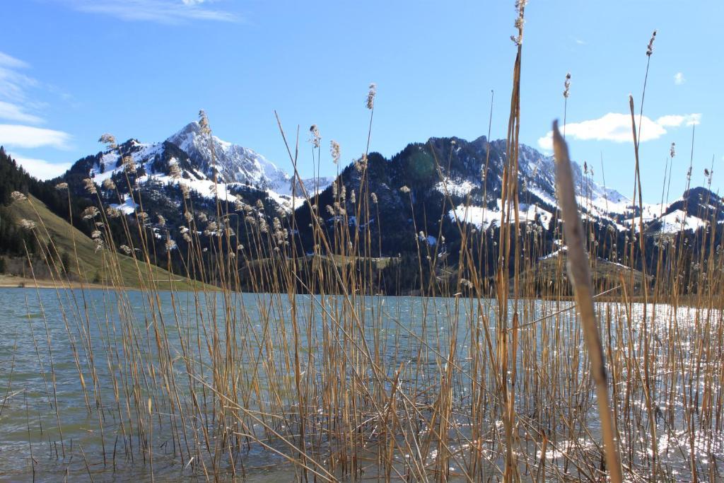 Hostellerie Am Schwarzsee Bad-Schwarzsee Eksteriør bilde